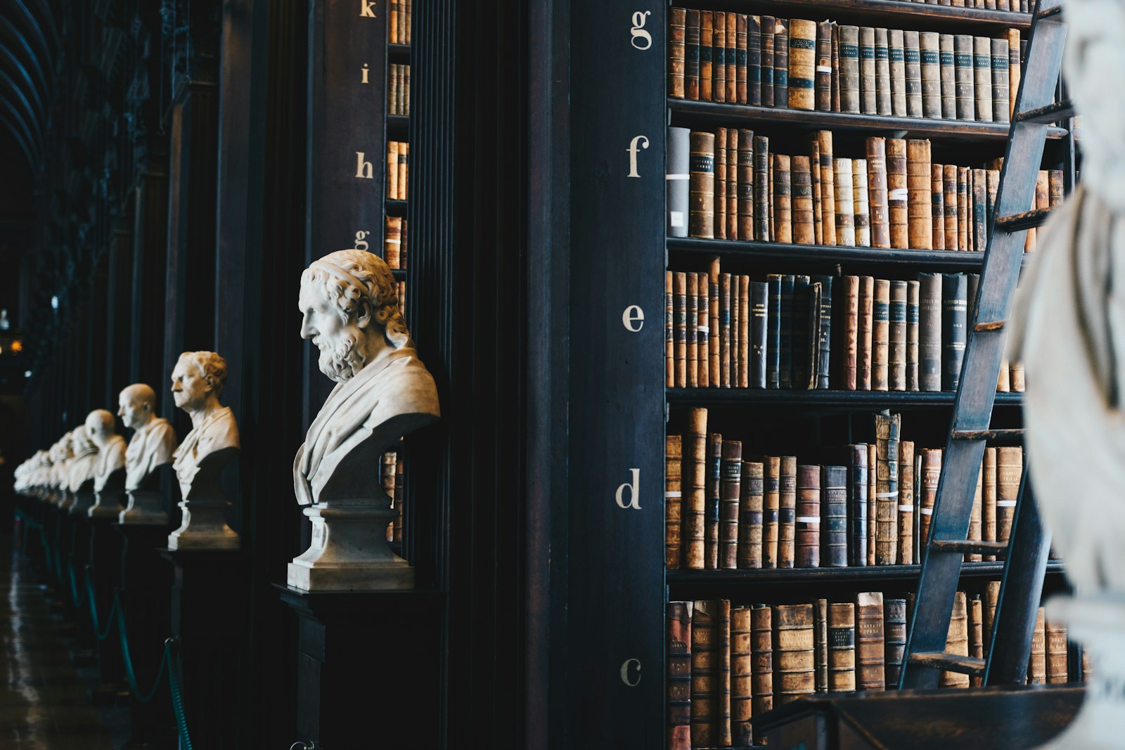 Legal reference library and professional research context