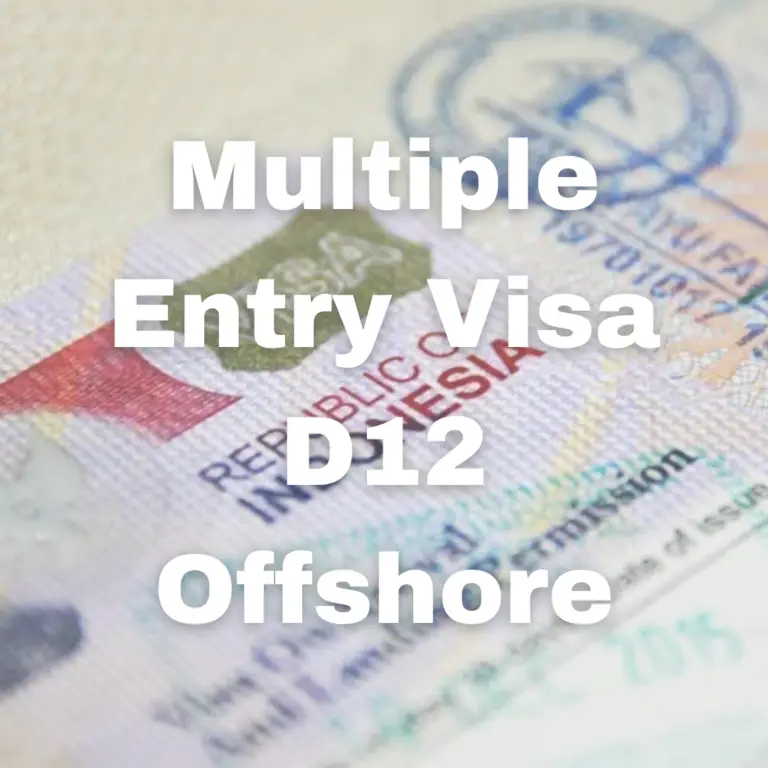 Multiple Entry Visa D12