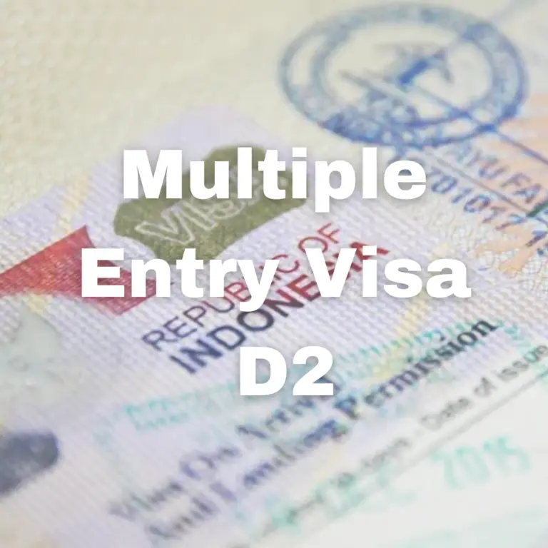 Multiple Entry Visa D2