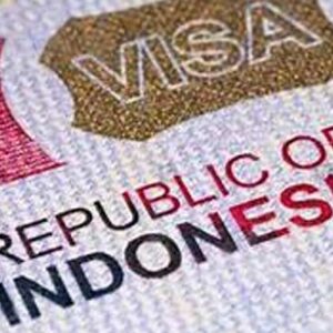 Single Entry Visa C12